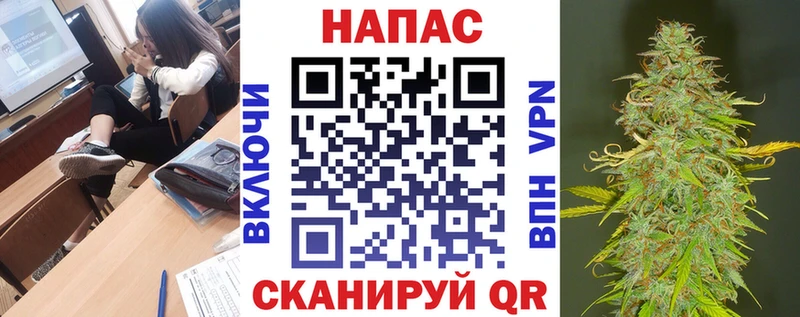 Купить наркотик аптеки Бердск COCAIN МЕГА вход ГАШ АМФЕТАМИН Канабис Альфа ПВП Мефедрон