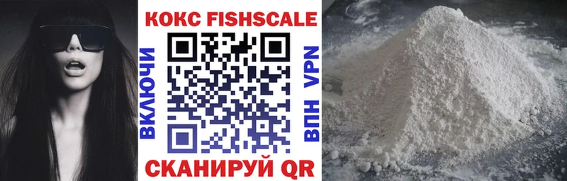 наркотики  Бердск  КОКАИН Fish Scale 