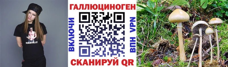 Галлюциногенные грибы ЛСД  цены наркотик  Бердск 